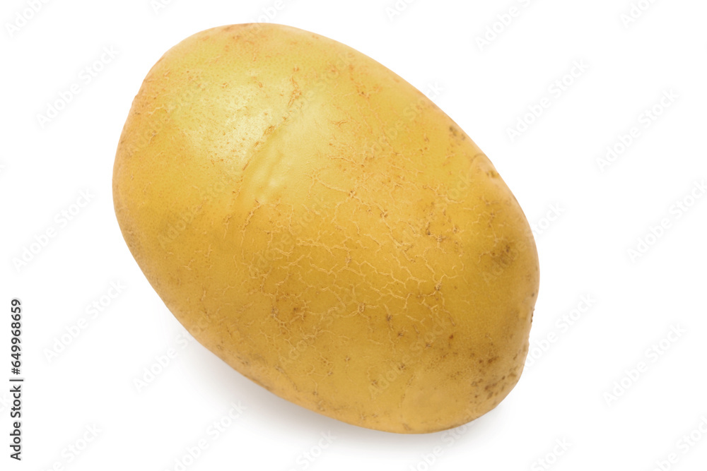 Fresh raw potato on white background