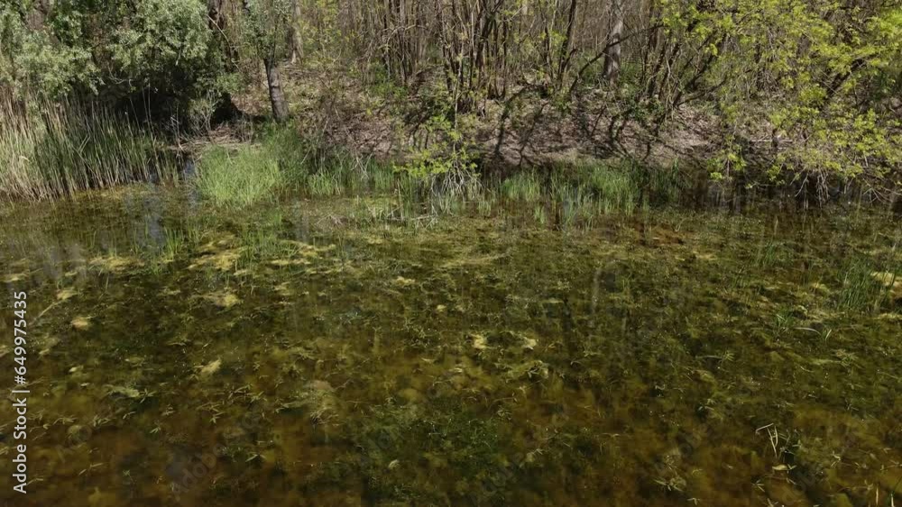 Peace of clear water surface in forest Peace of clear water surface in forest
