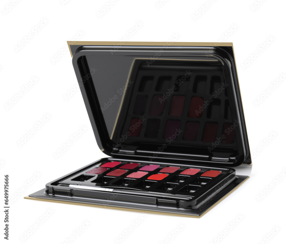 Colorful lip palette with brush isolated on white. Professional cosmetic product Colorful lip palette with brush isolated on white. Professional cosmetic product