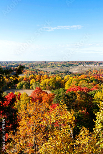 Vertical autumn landscape aerial view