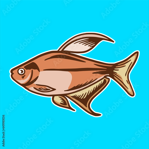 serpae tetra fish aquascape