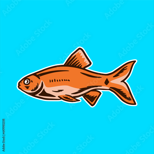 ruby tetra fish aquascape