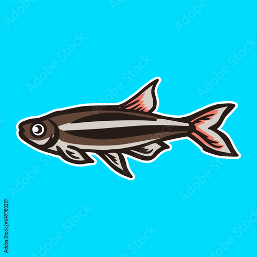 black neon tetra fish aquascape
