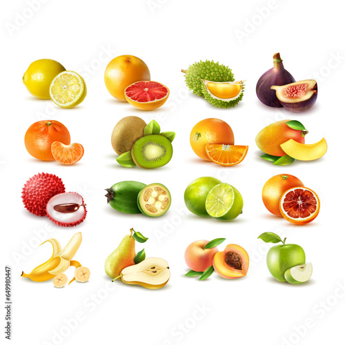 collection of fruits vector illustration