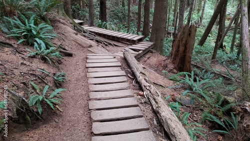 Wooden Boardwalk walkway in the rainforest