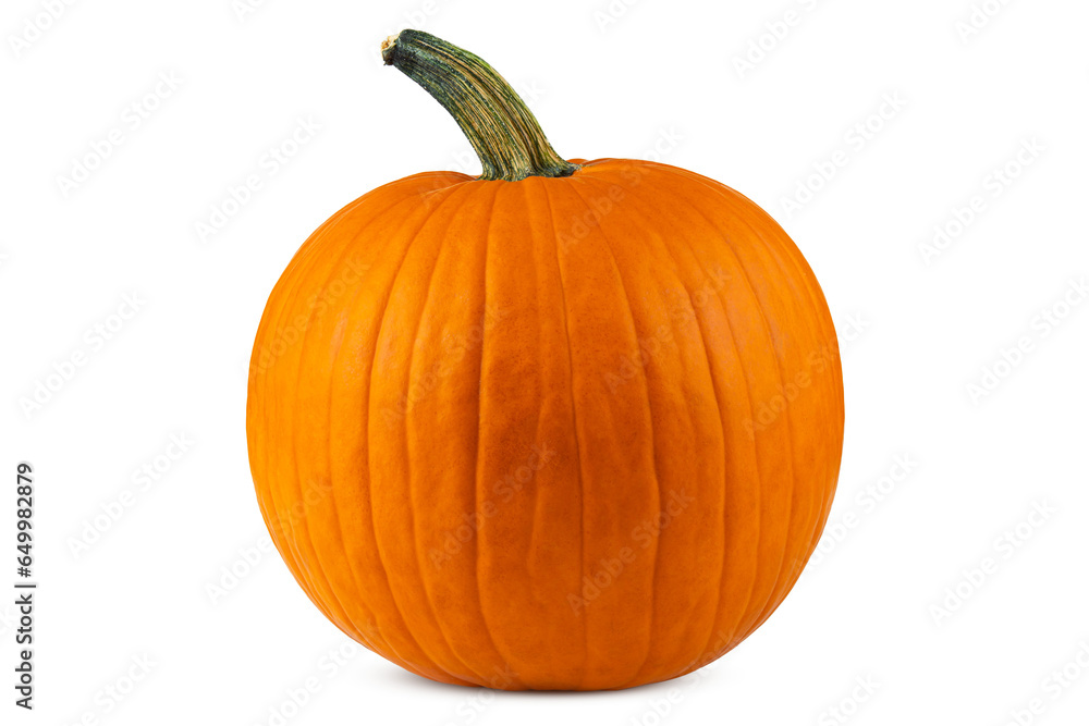 Pumpkin. Pumpkin good for carving a Jack o Lantern on Halloween. Farm autumn October harvest. Pumpkin for Oktoberfest. Happy Thanksgiving day. High resolution photo. White isolated background. Pumpkin. Pumpkin good for carving a Jack o Lantern on Halloween. Farm autumn October harvest. Pumpkin for Oktoberfest. Happy Thanksgiving day. High resolution photo. White isolated background.