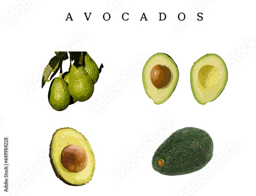 avocado on a white