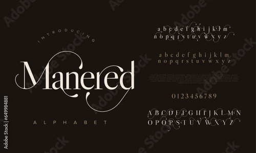 Manered premium luxury elegant alphabet letters and numbers. Elegant wedding typography classic serif font decorative vintage retro. Creative vector illustration