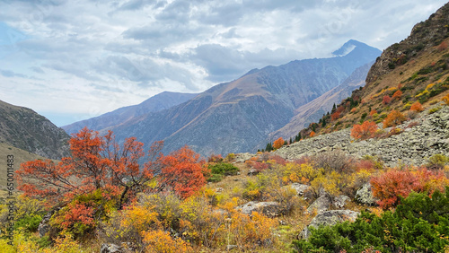 Very beautiful autumn in the mountains. Yellowed leaves of bushes, reddened leaves of trees. Ala-Archa National Park, Kyrgyzstan.