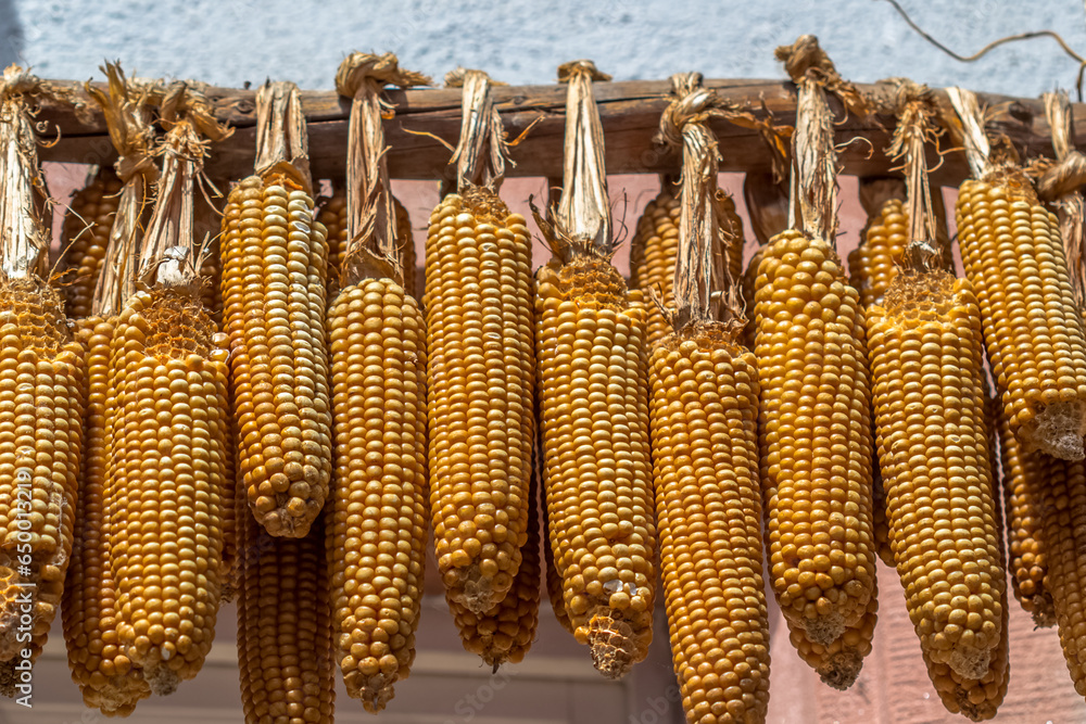épis de maïs au séchage Stock Photo | Adobe Stock