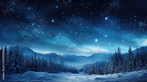 illustration of a winter landscape at night © jr-art