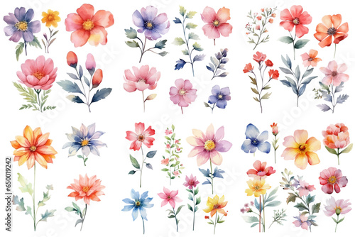 Watercolor floral package collection. Use by fabric, fashion, wedding invitation, template, poster, romance, greeting, spring, bouquet, pattern, decoration and textile.	