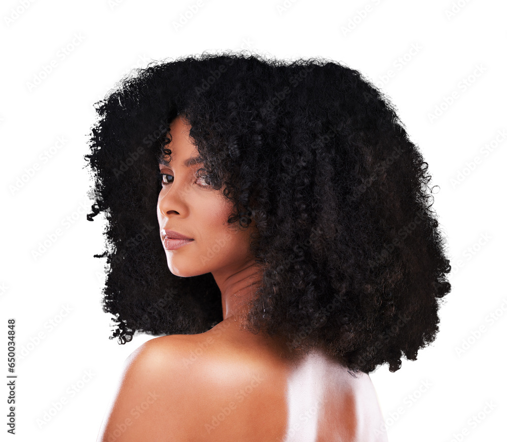 Hair care, beauty and young black woman with natural, cosmetic and selfcare routine for curly hairstyle. Spa, clean and African female model with afro treatment isolated by transparent png background Hair care, beauty and young black woman with natural, cosmetic and selfcare routine for curly hairstyle. Spa, clean and African female model with afro treatment isolated by transparent png background