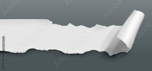 Rip paper page curl with torn edge vector sheet. Clean canvas surface with scratch rolled notice. Note or document tag piece design with shadow and damage border. Long blank roll fragment graphic