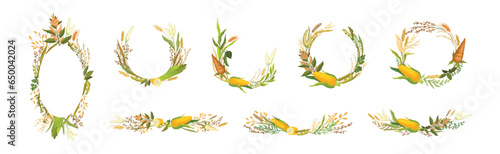 Corn Cob and Grain Agricultural Composition Vector Set