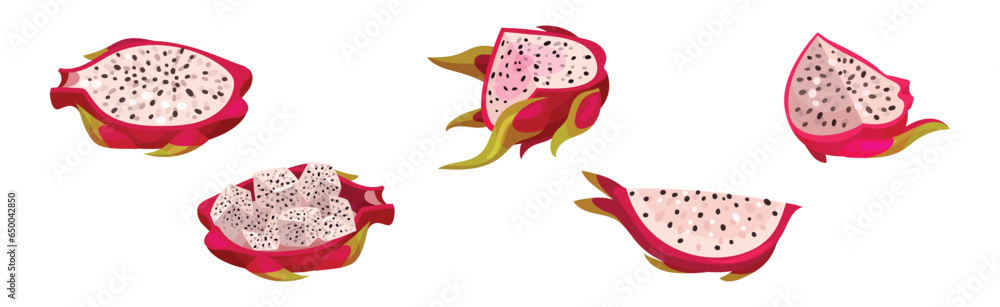 Dragon Fruit with Pink Cactus Skin and Fleshy Pulp Vector Set Dragon Fruit with Pink Cactus Skin and Fleshy Pulp Vector Set