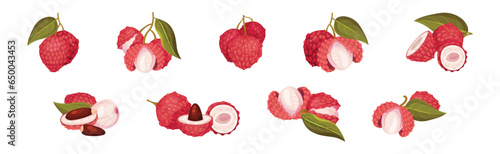 Lychee Fruit with Pink Rind and Sweet Flesh Vector Set