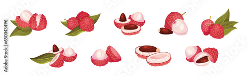 Lychee Fruit with Pink Rind and Sweet Flesh Vector Set