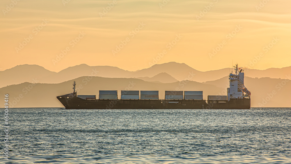 Sea cargo container ship against the calm light background