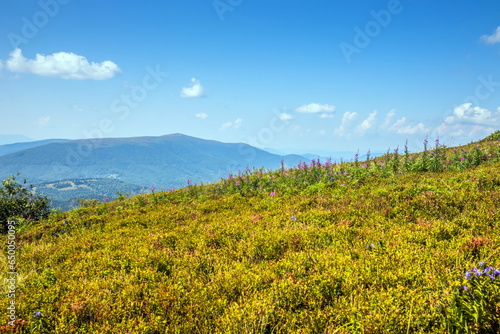 Beautiful view of the Ukrainian Carpathians to the mountains and valleys. Rocky peaks and wood of the Carpathians in late summer. Yellow and green grass  and wildflowers on the mountain slopes.