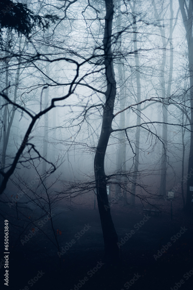 Geisterhafte Wald Gestalten Geisterhafte Wald Gestalten