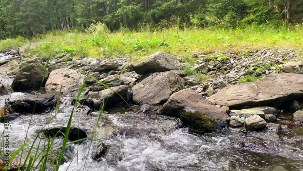 Pan across babbling brook flowing water stream surrounded by smooth river rocks and tall grass Pan across babbling brook flowing water stream surrounded by smooth river rocks and tall grass