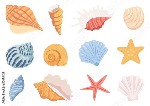 Sea shells, mollusks, stars. Beautiful colored shells of different shapes. Vector illustration