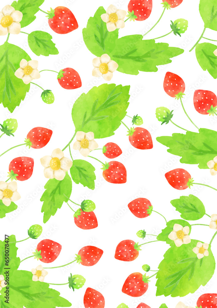 綺麗な苺の背景イラスト 綺麗な苺の背景イラスト