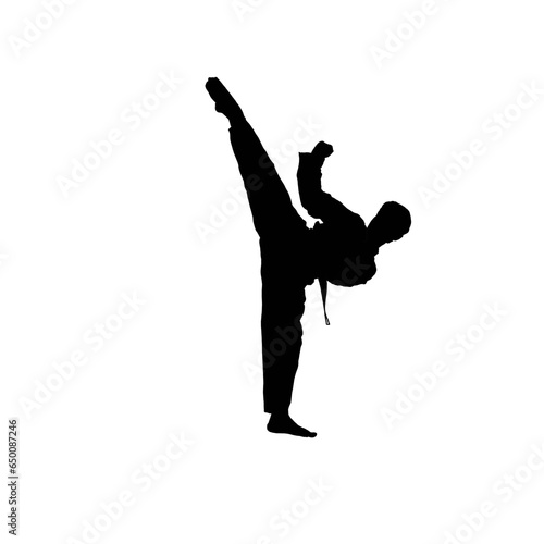 Karate kick. Karatekick silhouette. Black and white karate kick illustration.