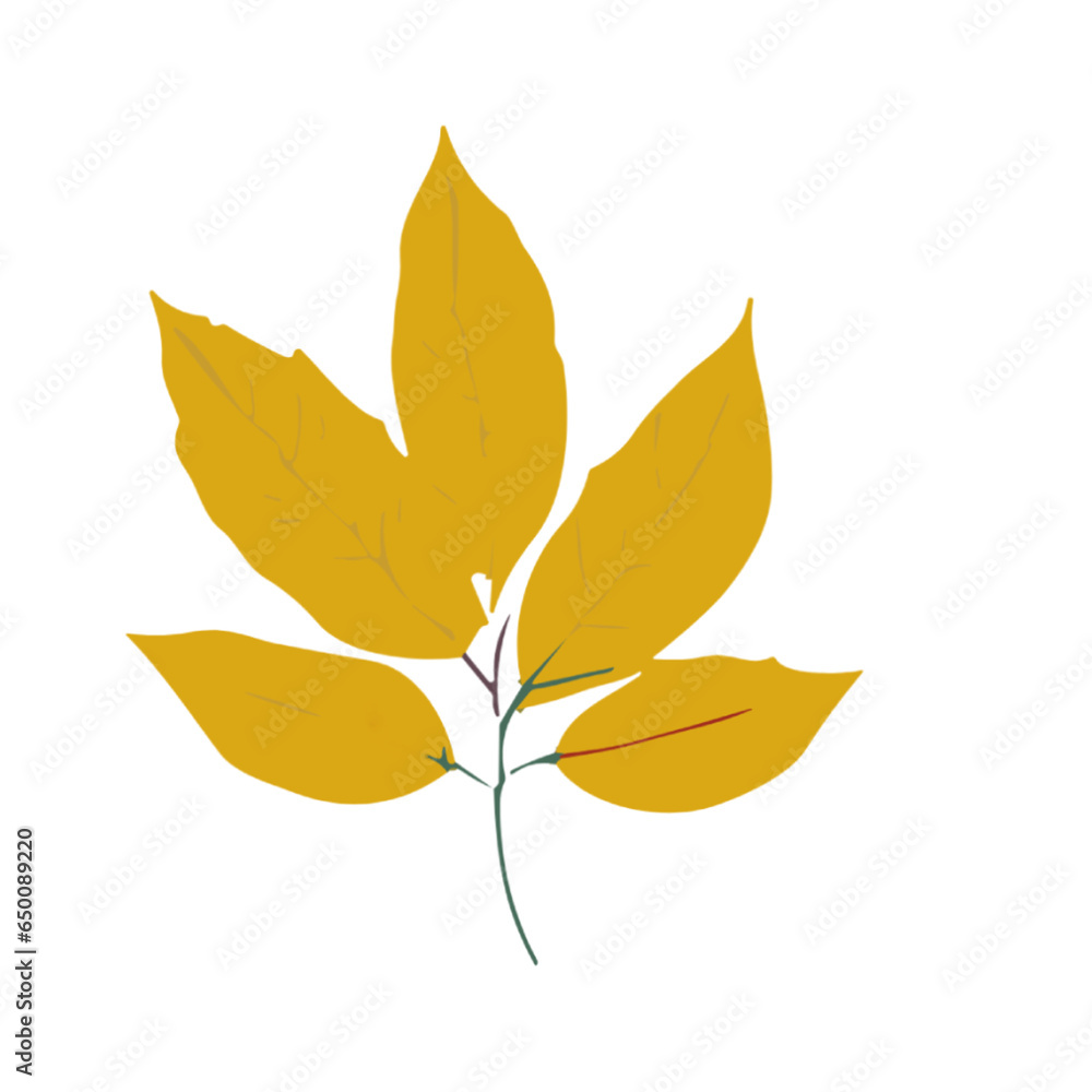 Naklejka premium autumn leaves illustration