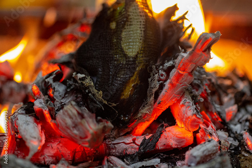 Dancing flames and fire
