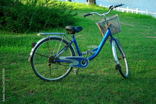 Blue bicycles on the park grass