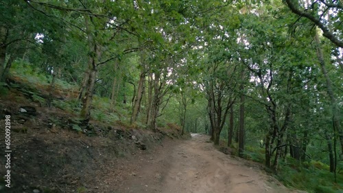 Dirt Road In The Forest To The Aguacaida Waterfall In Panton, Lugo, Spain. - POV photo