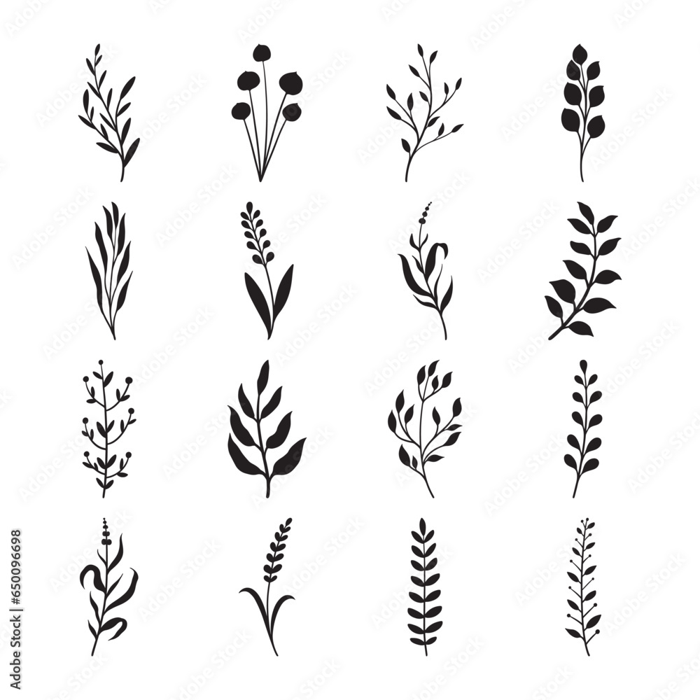 Set of leaf silhouette hand drawn vector Set of leaf silhouette hand drawn vector