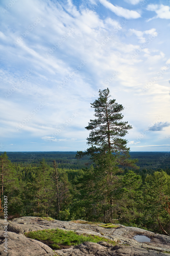 Skurugata in Smaland, Sweden. Viewpoint with view over forests in Scandinavia. Skurugata in Smaland, Sweden. Viewpoint with view over forests in Scandinavia.