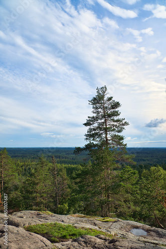 Skurugata in Smaland, Sweden. Viewpoint with view over forests in Scandinavia.