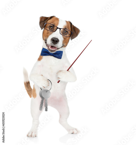 Jack russell terrier puppy wearing tie bow and eyeglasses holds in his paw the keys to a new apartment and points away on empty space. Isolated on white background
