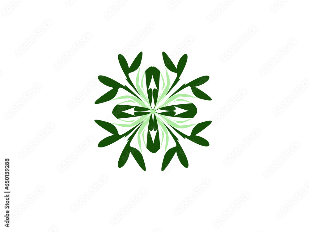 illustration of a leaf illustration of a leaf