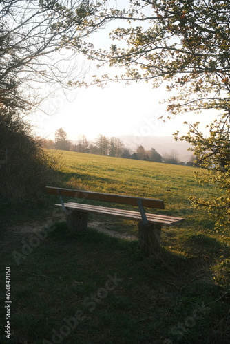 Sitzbank entlang des Harzer Hexenstiegs. Blick auf eine Wiese bei Sonnenaufgang