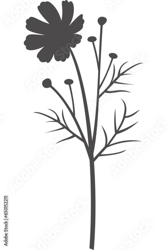 Wildblume, Blume, Silhouette mit transparentem Hintergrund 