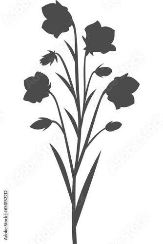 Wildblume, Blume, Silhouette mit transparentem Hintergrund 