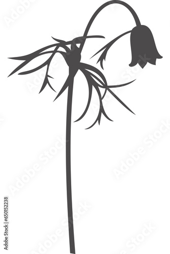 Wildblume, Blume, Silhouette mit transparentem Hintergrund 