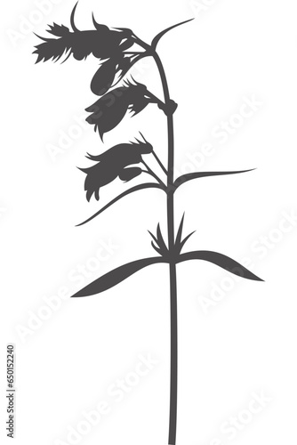 Taubnessel, Wildblume, Blume, Silhouette mit transparentem Hintergrund 