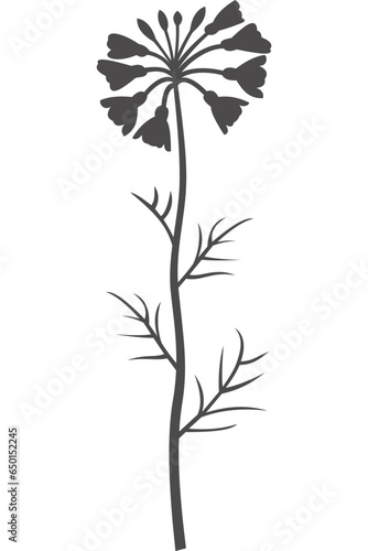 Wiesenschaumkraut  Wildblume  Blume  Silhouette mit transparentem Hintergrund 