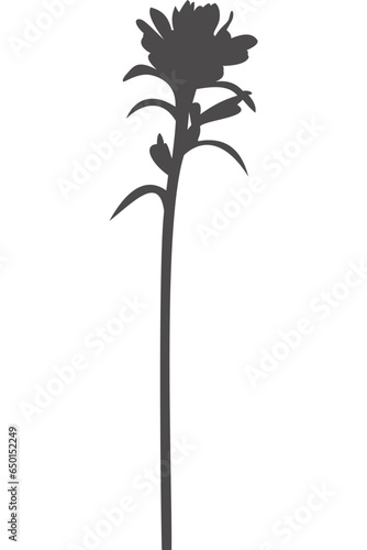 Wildblume, Blume, Silhouette mit transparentem Hintergrund 