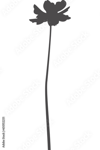 Wildblume, Blume, Silhouette mit transparentem Hintergrund 