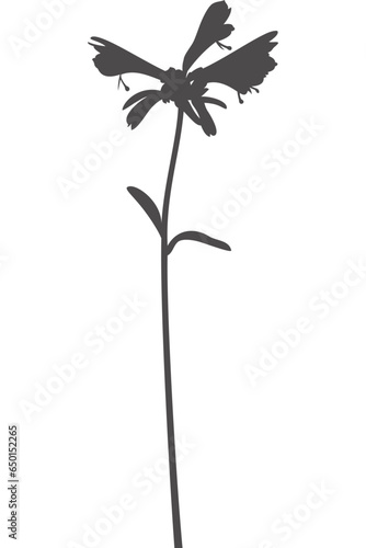 Wildblume, Blume, Silhouette mit transparentem Hintergrund 
