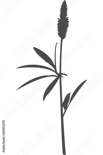Gras, Wildblume, Silhouette mit transparentem Hintergrund 