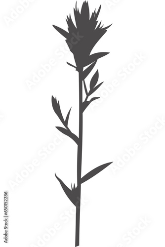 Blume, Wildblume, Silhouette mit transparentem Hintergrund 