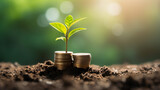 The tree grows on stacked coins on the soil with blur nature background
